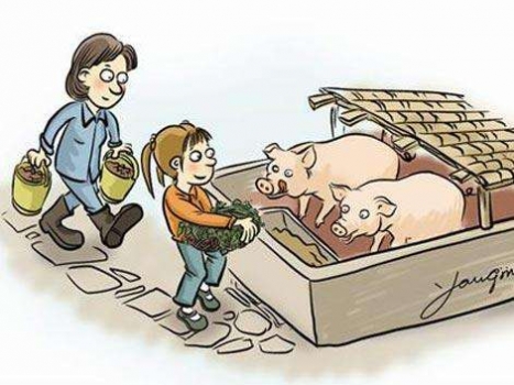 專家：征收環保稅的同時應對養殖業給予補貼