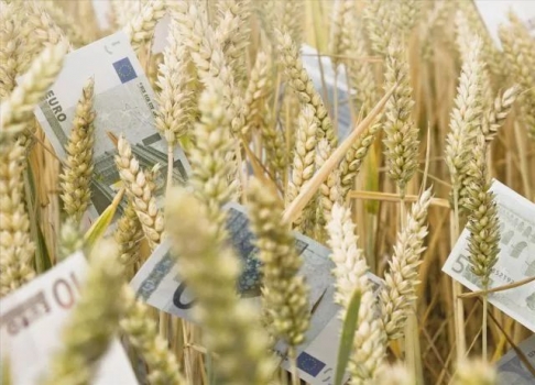 2018年養殖補貼有重大改革，附申請流程！