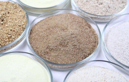 飼用酶制劑企業國際化發展之道