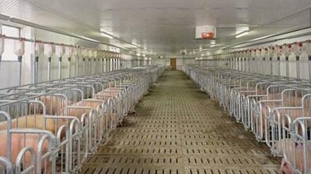 環境——采暖設施的改進——保育床下鋪水管