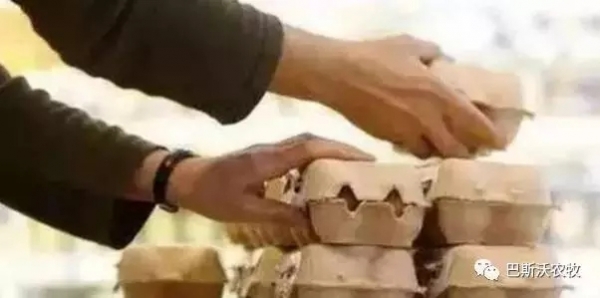 從一枚雞蛋看德國，就知道為什么德國是制造業、化工業的霸主了！