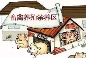 農業部：部分地區劃定禁養區沒有嚴格落實有關規定