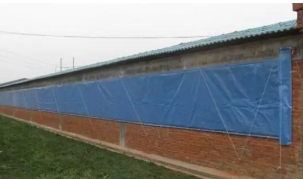 呼吸道疾病反復(fù)發(fā)作，買(mǎi)藥就可以解決？