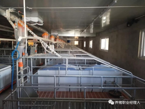 技術前沿 | 15萬頭線高效豬場規劃設計（1）