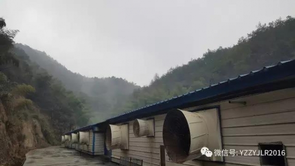 技術前沿|15萬頭線高效豬場規劃設計（2）