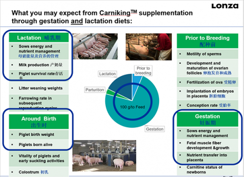 【第9期討論】左旋肉堿對豬的營養生理效應---飼料行業交流公益平臺