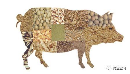 從三年豬價(jià)和糧價(jià)關(guān)系，推測2018豬價(jià)走勢