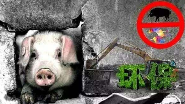 農(nóng)業(yè)部此文件一出，農(nóng)村養(yǎng)殖戶心里就有了底