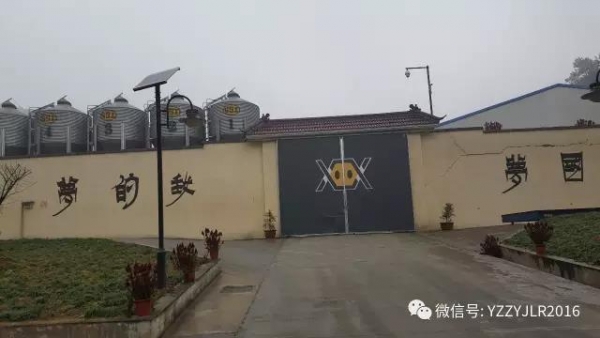 技術前沿|15萬頭線高效豬場規劃設計（3）