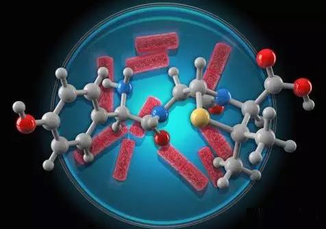 腸道菌群的組成、調(diào)節(jié)及其對宿主健康的影響