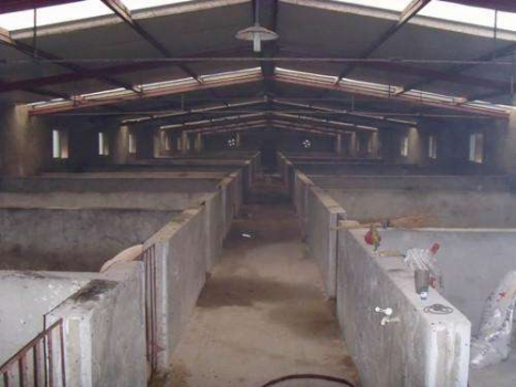 農業部最新要求：萬頭豬場水沖糞排水量不得高于175立方／天