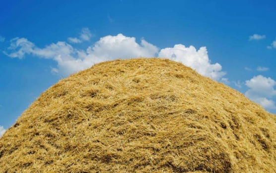 影響飼料企業(yè)生產(chǎn)成本的因素