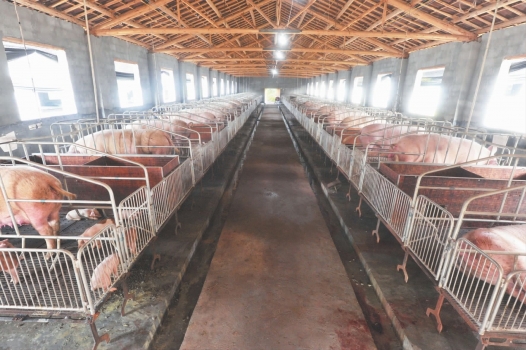 農業部辦公廳關于印發《畜禽規模養殖場糞污資源化利用設施建設規范（試行）》的通知