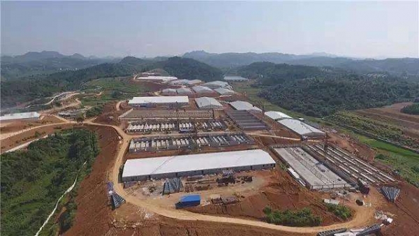 溫氏擬獎勵員工股票超1億股，中糧去年利潤歷史新高