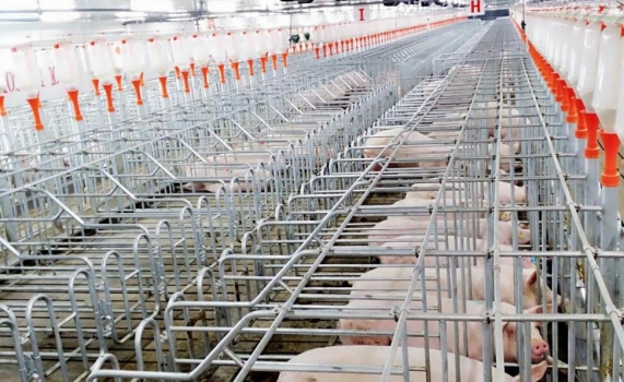 技術(shù)控 | 批次生產(chǎn)如何才能做到滿(mǎn)負(fù)荷而又均衡？這確實(shí)是門(mén)藝術(shù)