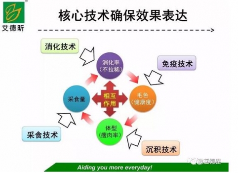 飼料品質提升的“八度管理”經驗與關鍵點淺析