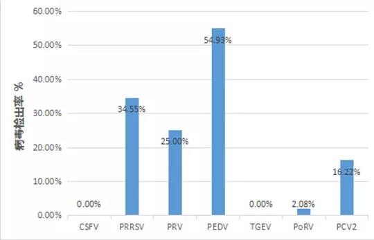 病毒性腹瀉系列之二“現(xiàn)狀、類型及如何防控”