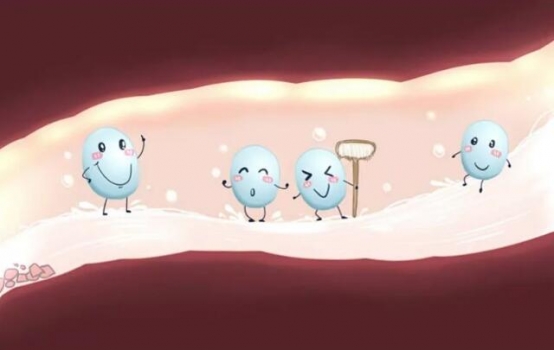 “益生菌”也是“菌”，為什么輕易不致病？