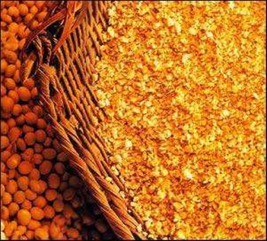 高豆粕比例和超劑量植酸酶對商業飼養條件下斷奶仔豬生長性能的影響