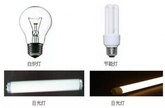 豬場如何選擇合適的光源和光色？