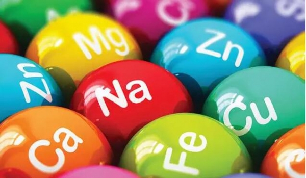 飼料中添加劑維生素，越多越好嗎？