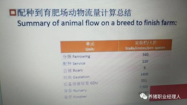 批次管理--提高種群健康及生產效率最為有效的方式