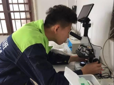 精液稀釋標準流程，你是這樣做的嗎？