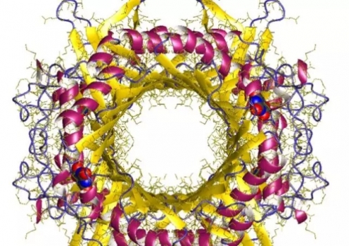 王勇：抗氧化劑的選擇與應用要點
