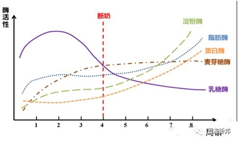 保育仔豬不好養，豬場如何預防？