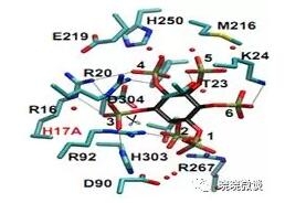 What？飼用酶制劑我居然沒有用好？