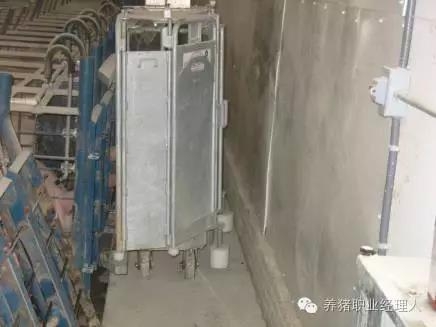 批次生產—未來規模豬場必然的選擇