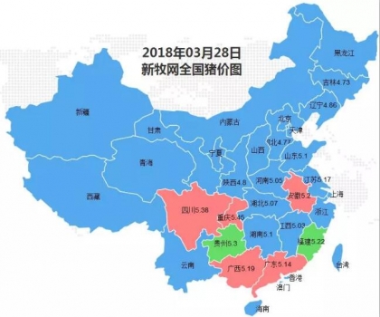 豬價(jià)上漲范圍擴(kuò)大！農(nóng)業(yè)農(nóng)村部：年內(nèi)不存在長(zhǎng)期下跌基礎(chǔ)！