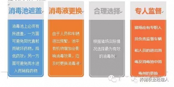 前沿技術 | 豬場成功實現偽狂犬凈化的關鍵措施