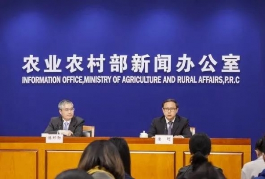 生豬存欄、能繁母豬雙雙反彈，豬價走勢會如何？央視、農(nóng)業(yè)農(nóng)村部齊發(fā)聲！