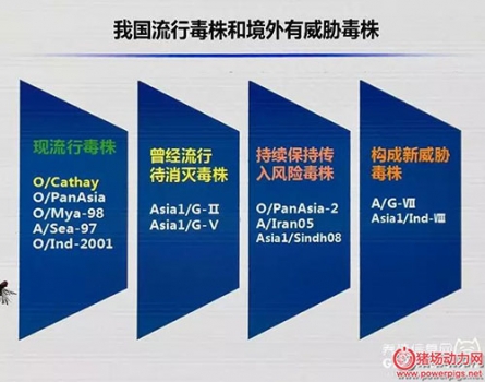 2018年防控口蹄疫，需要注意這4點(diǎn)