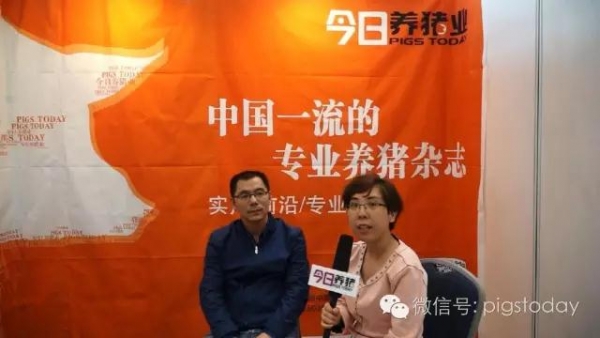 施增斌：后備母豬的培育不能過于激進