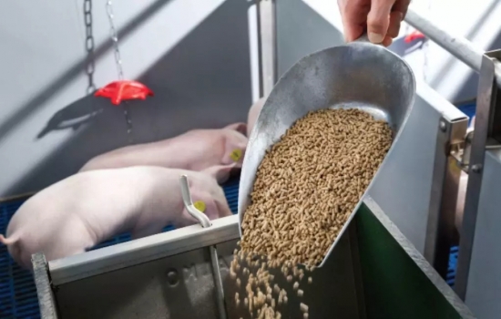 飼料制粒機堵機原因簡析及處理方法