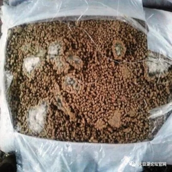 飼料幾種典型霉變現象分析及解決辦法