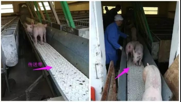 如何實現高效轉群