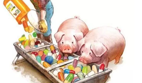 后抗生素時(shí)代的抗生素替代策略