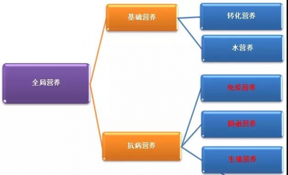 為什么說補充抗病營養(yǎng)是提高豬場PSY的基礎(chǔ)？