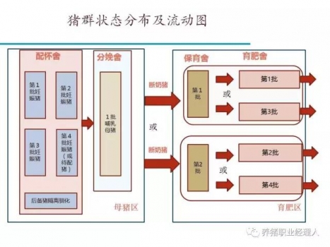 批次生產|規模場四周批生產模式簡介（1）