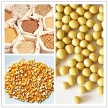 影響飼料原料能量含量的營養物質包括小分子碳水化合物，但是原料物理性狀無法用來...