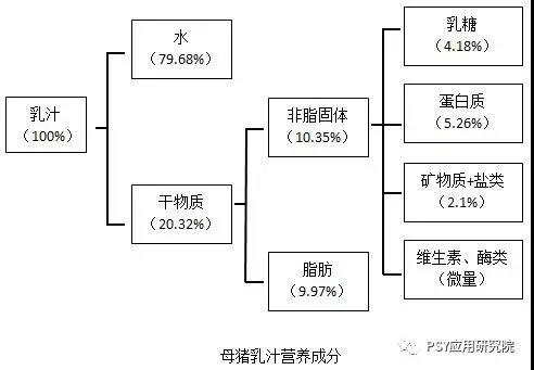 母豬奶水中含有這么多營養?