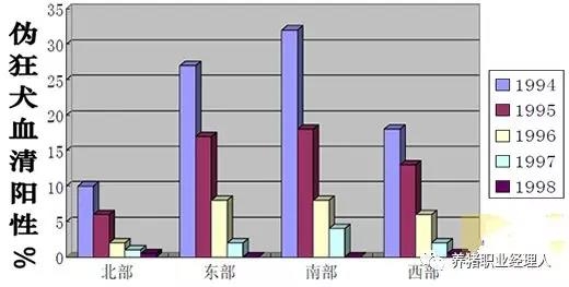 荷蘭成功清除豬偽狂犬病的經(jīng)驗值得我們借鑒