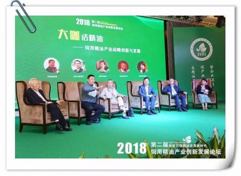 大咖話精油——廣州精油會議互動論壇嘉賓精彩觀點呈現