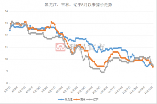 非洲豬瘟下，北方豬價漲跌不一，背后究竟是什么原因？