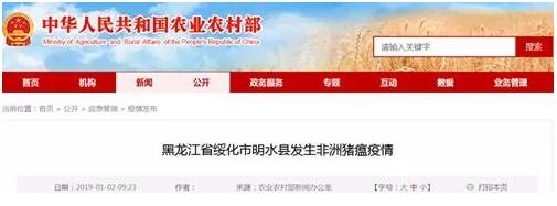 痛心！73000頭遭撲殺！ 黑龍江特大規模養豬場發生非洲豬瘟疫情