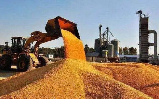 2018年農(nóng)產(chǎn)品市場運行總體平穩(wěn)，非洲豬瘟影響有限作者：佚名來源：農(nóng)民日報