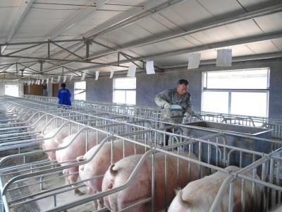 種母豬舍建造的5點實用技術要求
